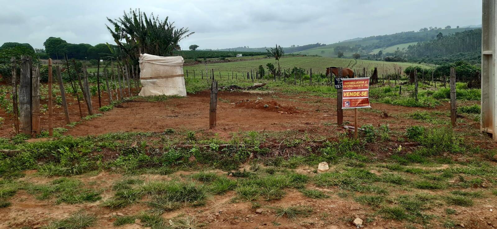 #TE20 - Área para Venda em Nova Resende - MG