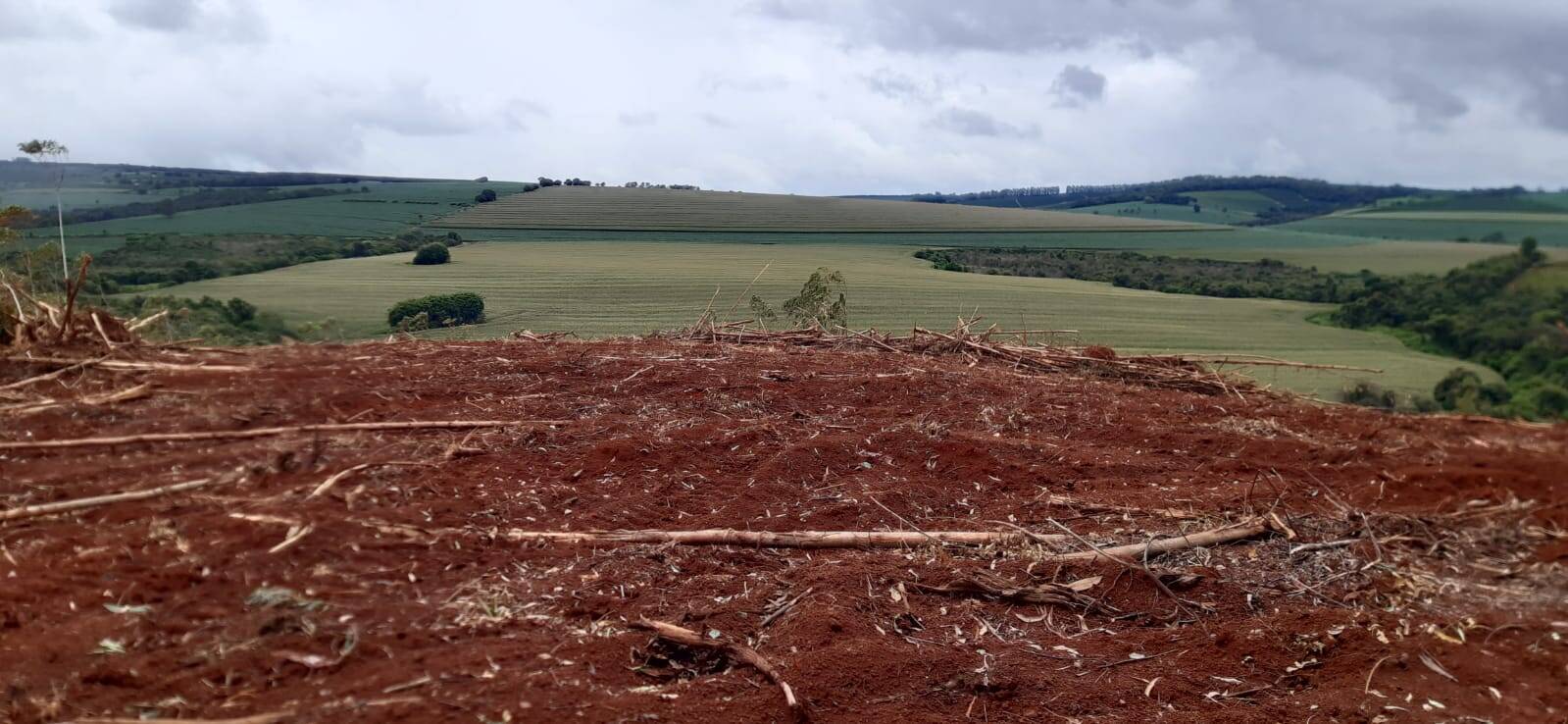 #TA10 - Fazenda para Venda em Nova Resende - MG