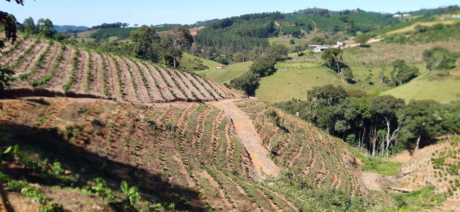 #TA11 - Fazenda para Venda em Nova Resende - MG