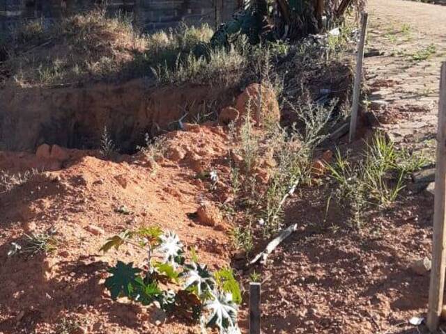 #TE11 - Área para Venda em Nova Resende - MG - 1