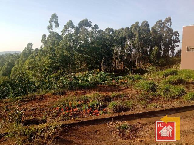 #TE16 - Terreno para Venda em Nova Resende - MG - 3