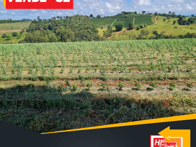 #TA06 - Fazenda para Venda em Muzambinho - MG - 1