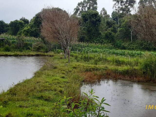 #CH09 - Chácara para Venda em Nova Resende - MG - 1