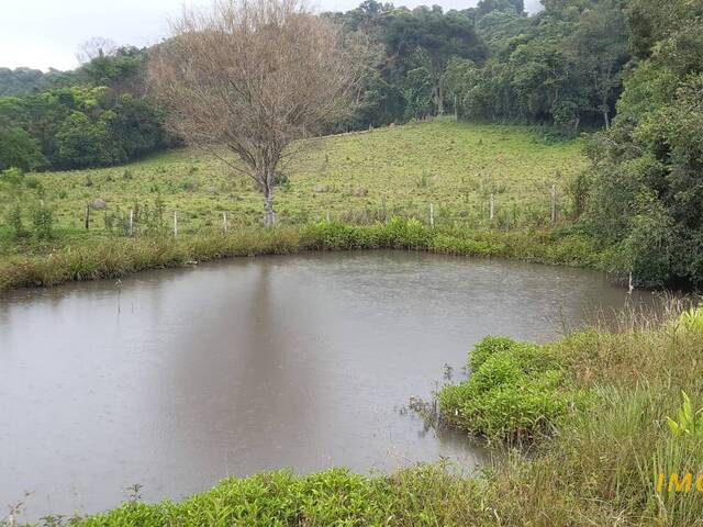 #CH09 - Chácara para Venda em Nova Resende - MG - 2