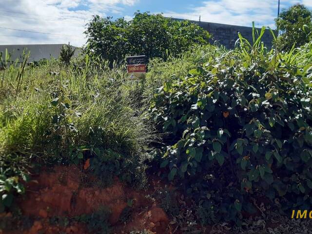 #TE28 - Área para Venda em Nova Resende - MG - 2