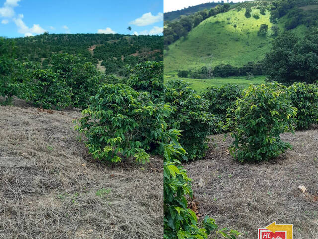 #TA09 - Sítio para Venda em Nova Resende - MG - 1