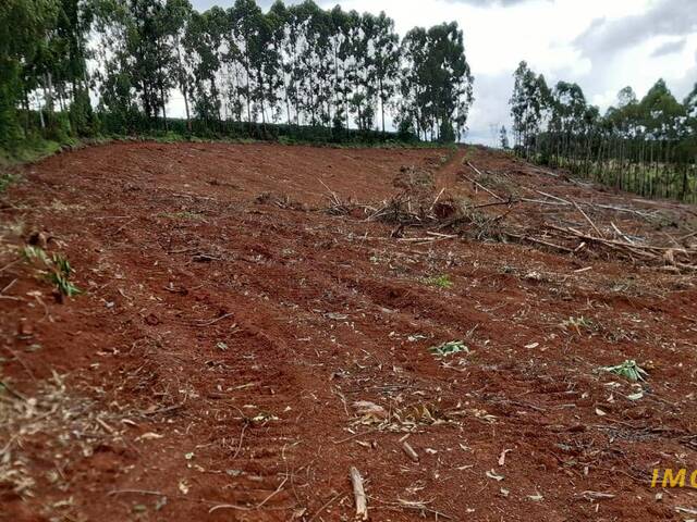 #TA10 - Fazenda para Venda em Nova Resende - MG - 3