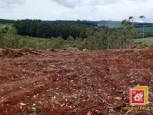 #TA10 - Fazenda para Venda em Nova Resende - MG - 2