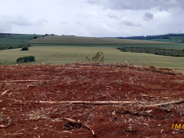 #TA10 - Fazenda para Venda em Nova Resende - MG - 1