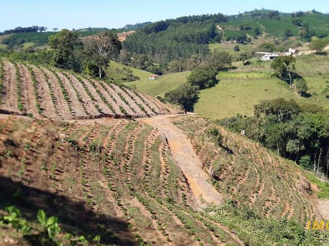 #TA11 - Fazenda para Venda em Nova Resende - MG - 1