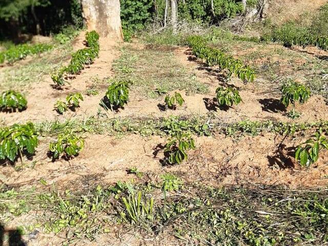 #TA11 - Fazenda para Venda em Nova Resende - MG - 2