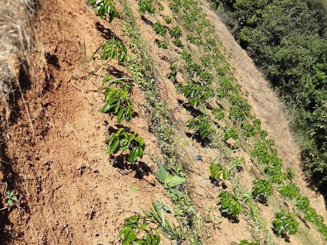 #TA11 - Fazenda para Venda em Nova Resende - MG - 3