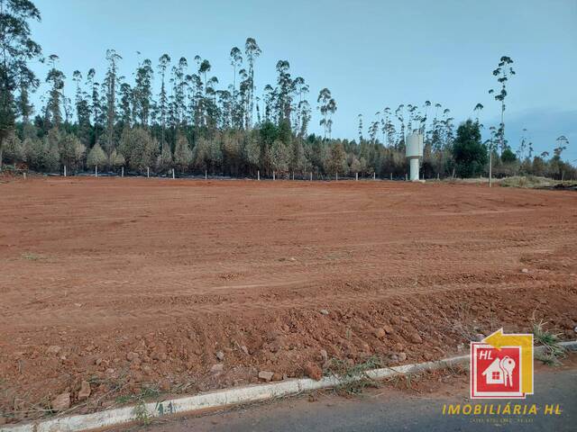 #TE39 - Terreno para Venda em Nova Resende - MG - 2