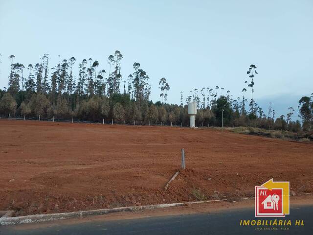 #TE39 - Terreno para Venda em Nova Resende - MG - 1