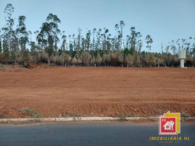 #TE39 - Terreno para Venda em Nova Resende - MG - 3