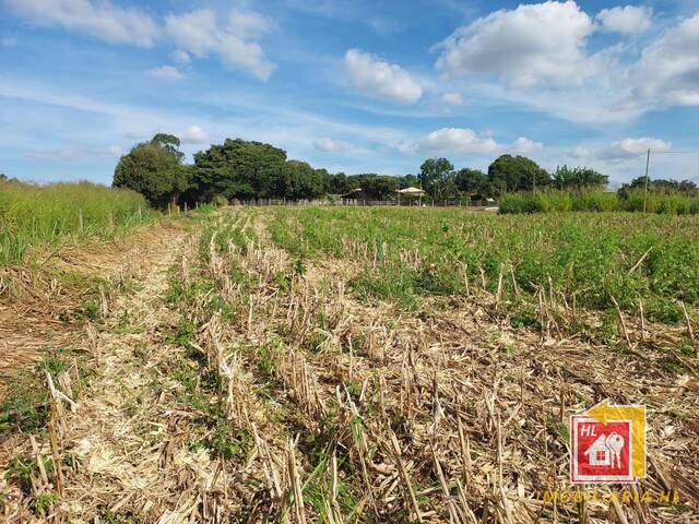 #CH15 - Chácara para Venda em Nova Resende - MG - 3