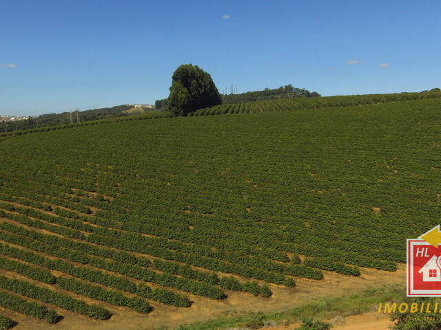 #TA07 - Fazenda para Venda em Nova Resende - MG - 3